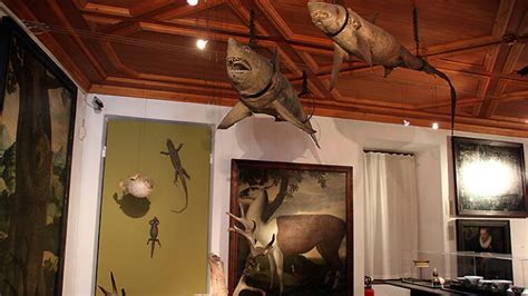 ambras wunderkammer prada